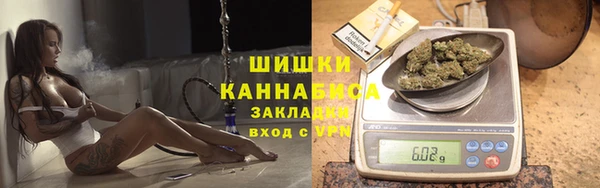 тгк Михайлов