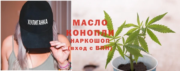 тгк Михайлов