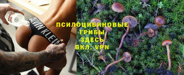 тгк Михайлов