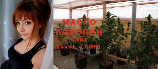 тгк Михайлов