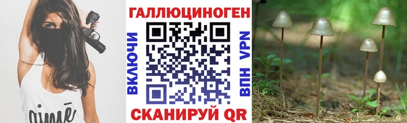 Галлюциногенные грибы Cubensis Ардатов